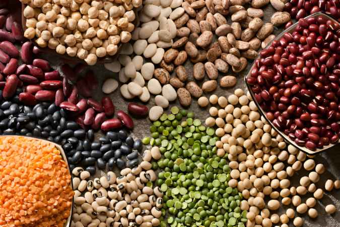 Legumes and Pulses